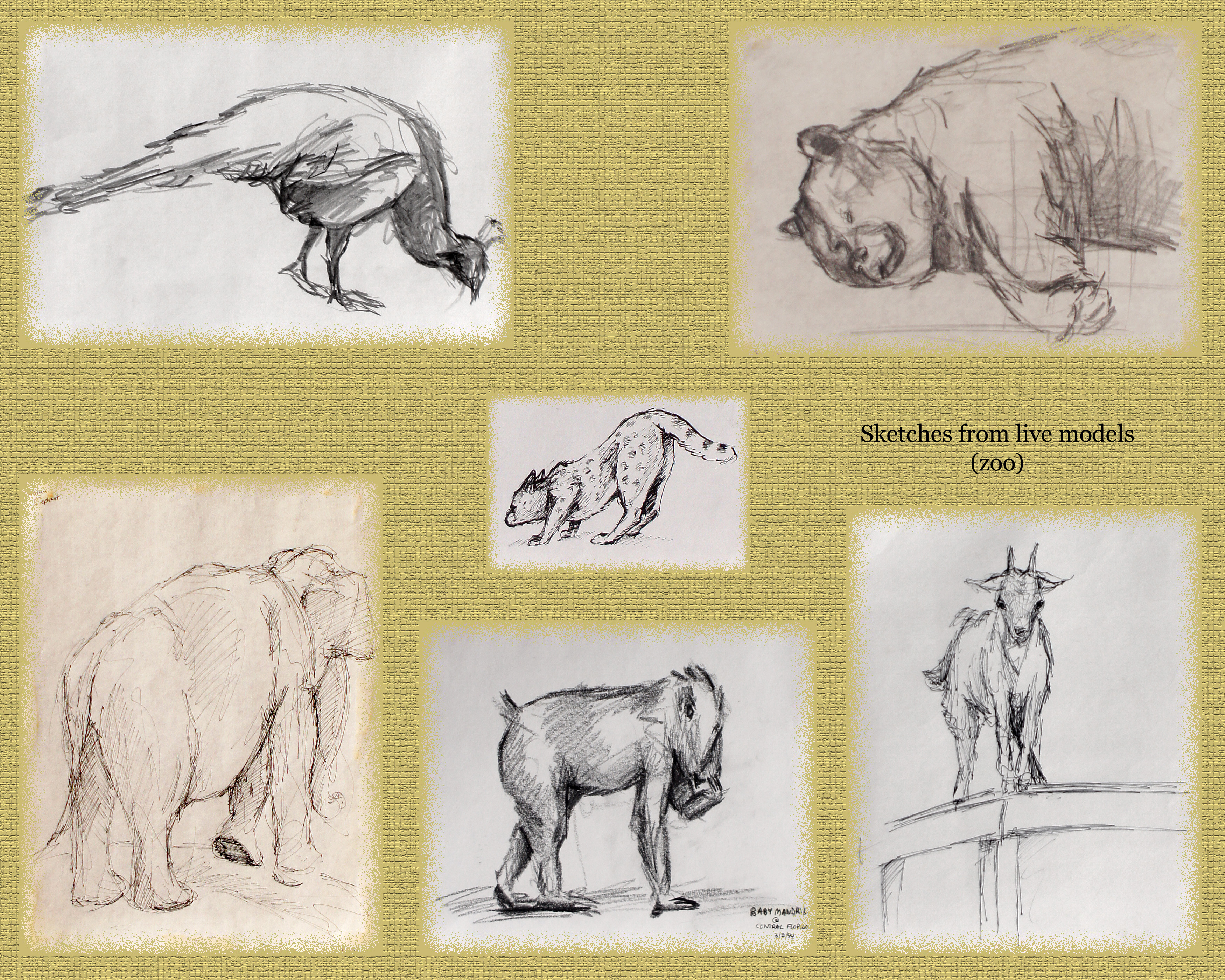 animal_sketchbook_01.jpg