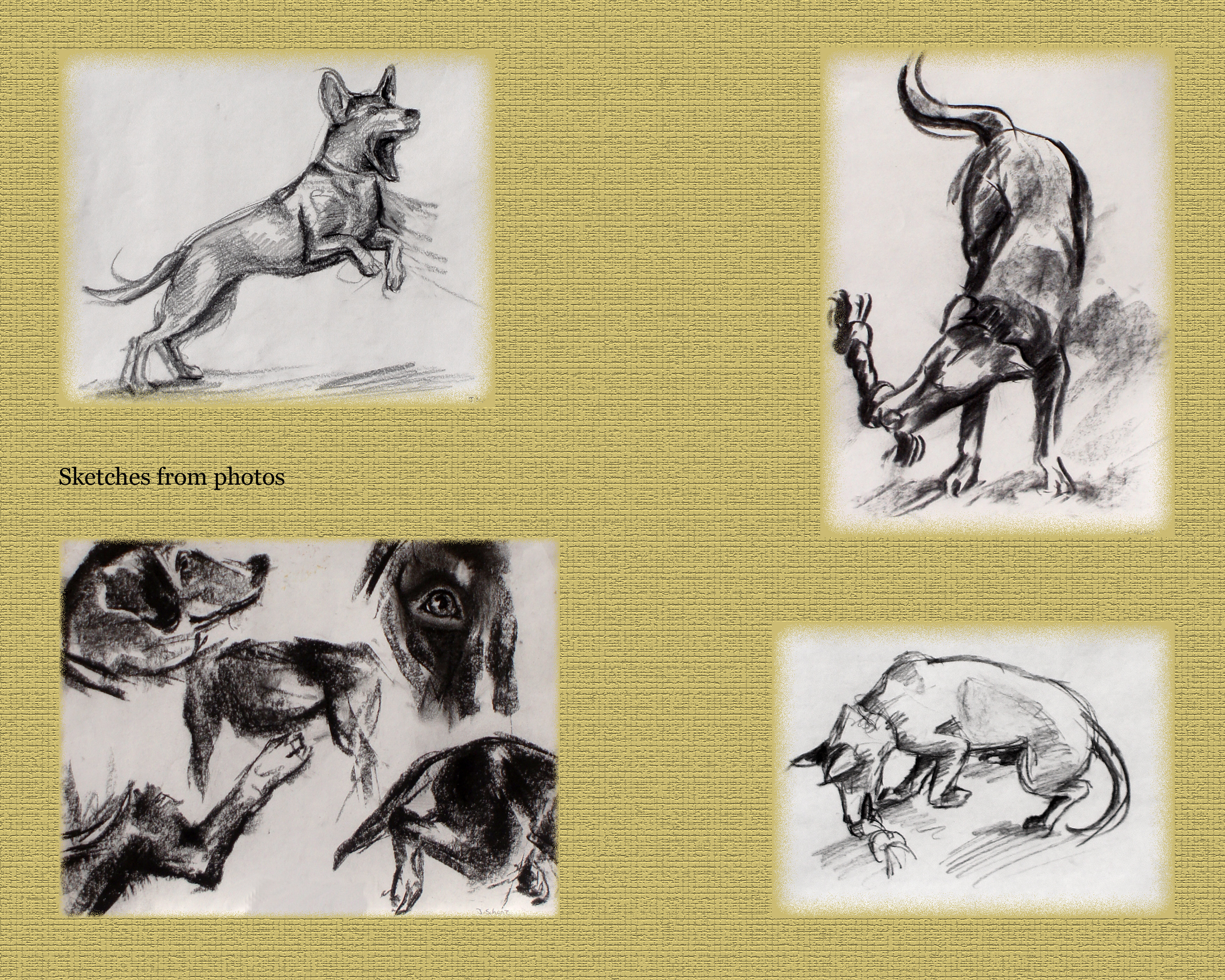 animal_sketchbook_04.jpg